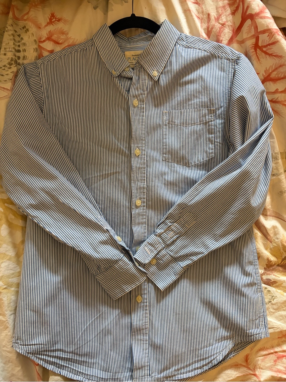 The Children's Place Blue and White Striped Button-Down Shirt